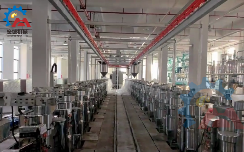 芝麻液壓榨油機